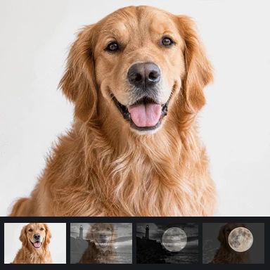 照片幻灯片