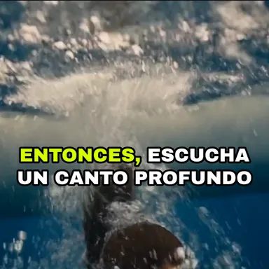 海洋潜水